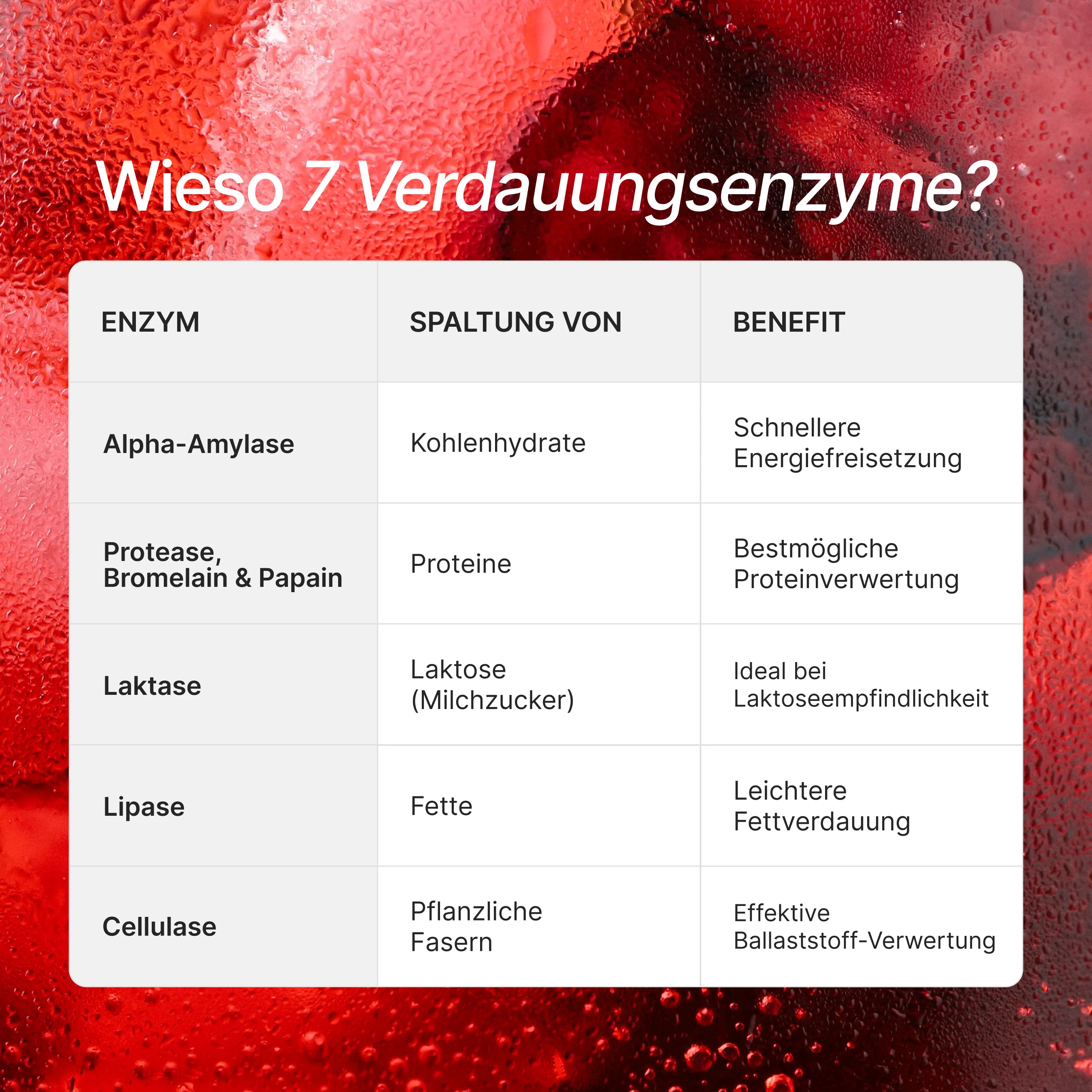 Daily Gut + Premium Reds - Image 4